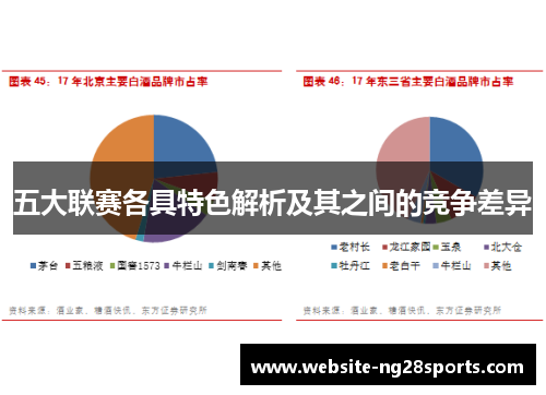 五大联赛各具特色解析及其之间的竞争差异