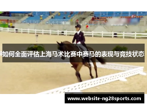 如何全面评估上海马术比赛中赛马的表现与竞技状态
