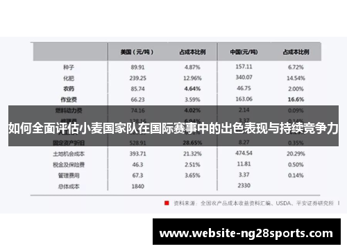 如何全面评估小麦国家队在国际赛事中的出色表现与持续竞争力