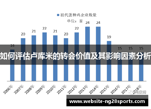 如何评估卢库米的转会价值及其影响因素分析