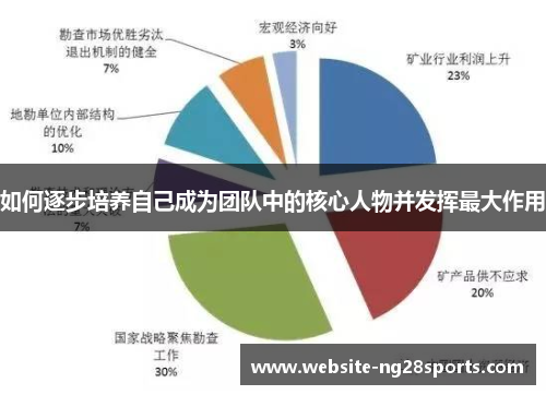 如何逐步培养自己成为团队中的核心人物并发挥最大作用