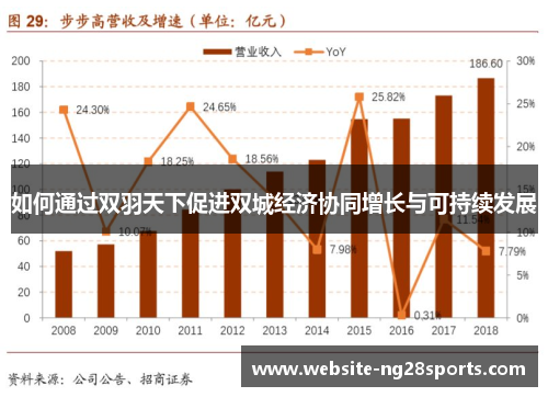 如何通过双羽天下促进双城经济协同增长与可持续发展