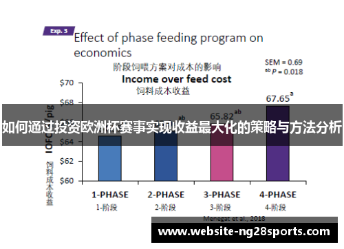 如何通过投资欧洲杯赛事实现收益最大化的策略与方法分析
